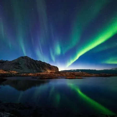 Villa Borgvag - A Unique Seafront Villa In The Heart Of Lofoten Bostad Eksteriør billede